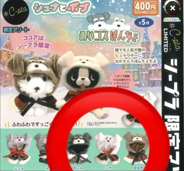 슈나와 밥 누이 코스 폰초