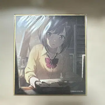 프로세카 에나 색지