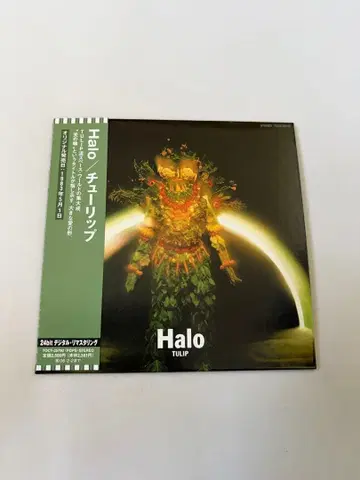 Halo 종이 자켓반 튤립