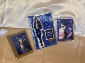 니지산지 코야나기 로우 iCouleur 아이컬러 팔레트