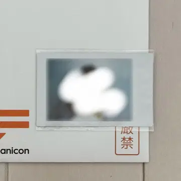 스즈키 쇼고 스크래치 B상 폴라로이드