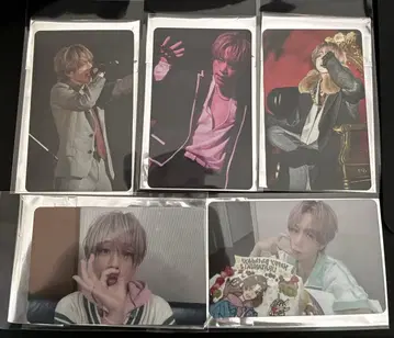 우라타누키 미니 포토 카드