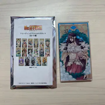 닥터 스톤 아크릴 마그넷 사자왕 사