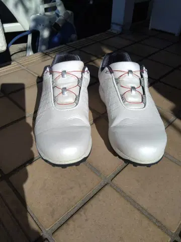 풋조이 골프화 화이트