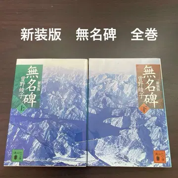 신장판 무명비 전권