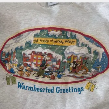 링크 앳 디즈니 트레이닝복 속기모 미사용