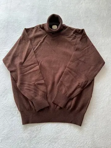 칼 헬무트 브라운 터틀넥 니트