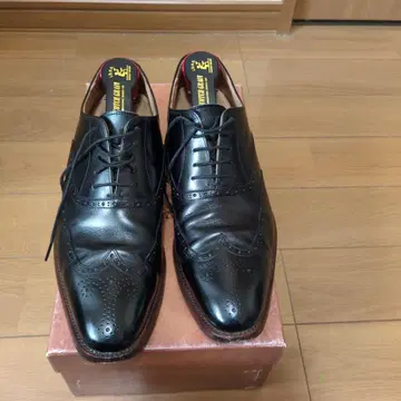 스코치 그레인 25.5