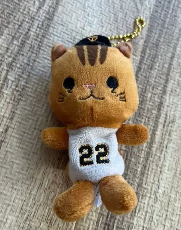 고바야시 세이지 키링 자이언츠 리스가 코바