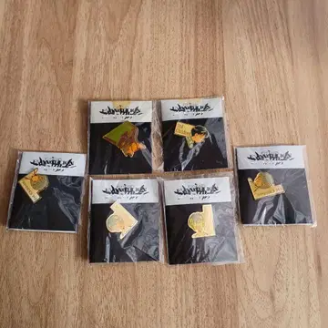 신세기 에반게리온 핀 배지 6개 세트