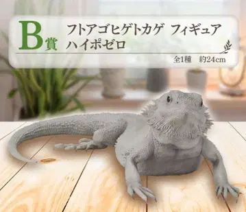 비어디드래곤 피규어 하이포 제로 약 24cm