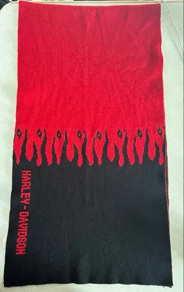 Harley davidson 머플러 파이어 패턴 프레임스