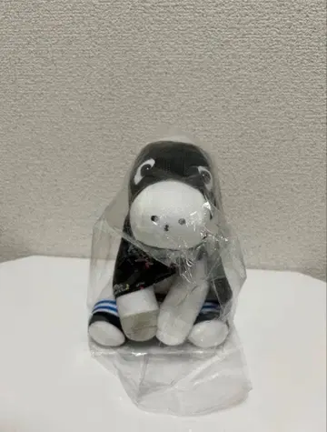 하야야코 아이돌 호스 아르헨티나 공화국배 경마