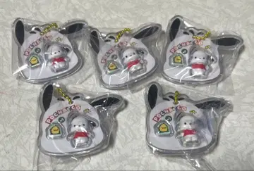 포차코 패키지 참