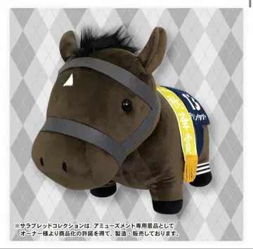 서러브레드 컬렉션 BIG 데어링 택트