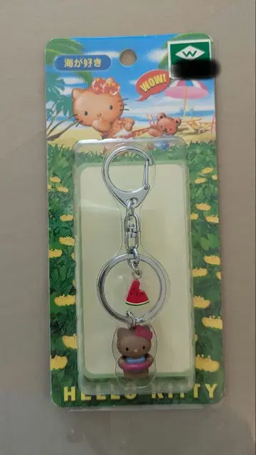 헬로키티 일광화상 수박 헤이세이 바다 좋아 키링 미개봉