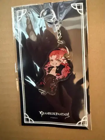 매달리는 아크릴 키링 (윌루나스)