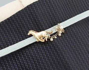 오비 고정 띠 말 질주 동물 브라후슈페리아 SUU 수 골드 금 화소품 오