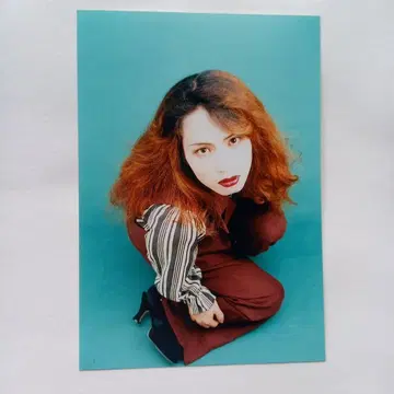 라크리마 크리스티 LEVIN 사진