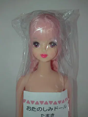 즐거운 인형 타마키 리카짱 캐슬 핑크