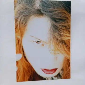 라크리마 크리스티 LEVIN 사진