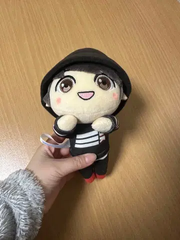 BTS 정국 봉제 인형