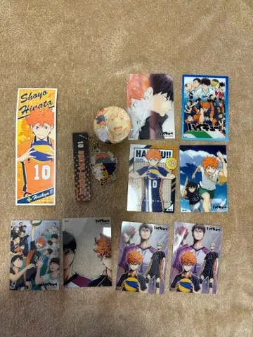 하이큐 (히나타 쇼요) 굿즈