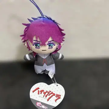 하이 가쿠라 GIGO 한정판 피코 누이 텐코 누이