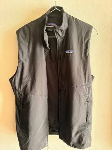 patagonia 파타고니아 나노에어 라이트 베스트 블랙 L 83900