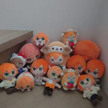 젤 군 봉제 인형 젤 스토푸리 묶음 판매