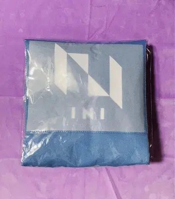 GIGO 한정 INI 토트백