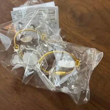 우리 아이 털뭉치 블랙 시바