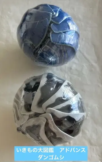 쥐며느리 가챠 가샤폰 생물대도감 어드밴스 세트 반다이