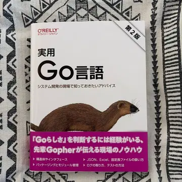 실용 Go 언어 (제2판): 시스템 개발 현장에서 알아두고 싶은 조언