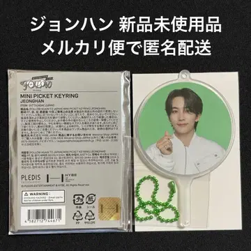 SEVENTEEN FOLLOW AGAIN 미니 피켓 키링 정한