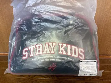 스트레이 키즈 straykids 스키즈 dominATE 보스턴 백