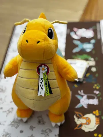 포켓몬 망나뇽 [ 후쿠이 한정판 ] 봉제 인형