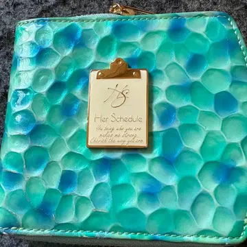 하스 스케줄 지갑