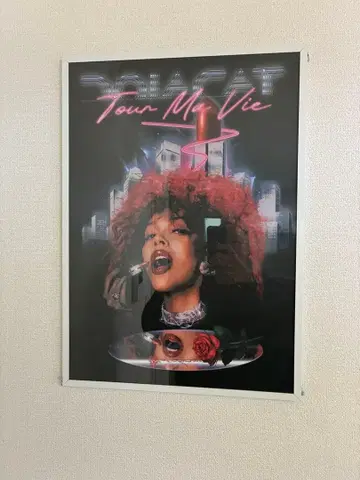 액자 세트 Doja Cat 도자 캣 라이브 포스터