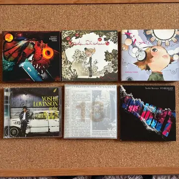 요시이 카즈야 6장 세트