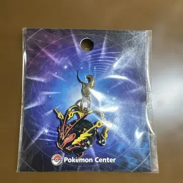 포켓몬 센터 메탈참 이로치 메가레쿠자