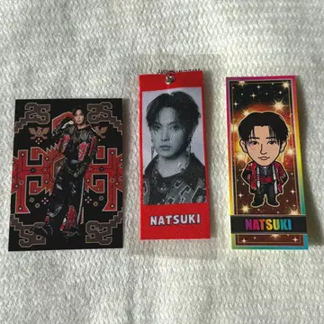 EXILE THE REASON 호리 나츠키 메지루시 택 엔니치 포토 카드