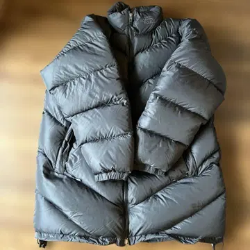 THE NORTH FACE 다운 L