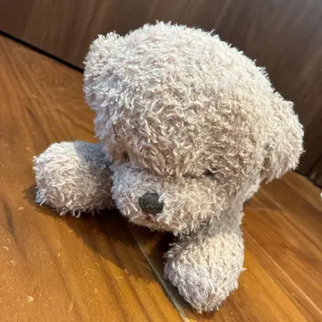 젤라피케 토이 푸들 봉제 인형