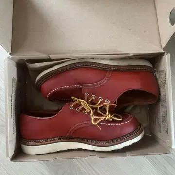 RED WING OXFORORD 홍차