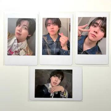 팬더 드래곤 나기 하피카 4장 묶음 판매