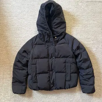 이에나 숏 다운