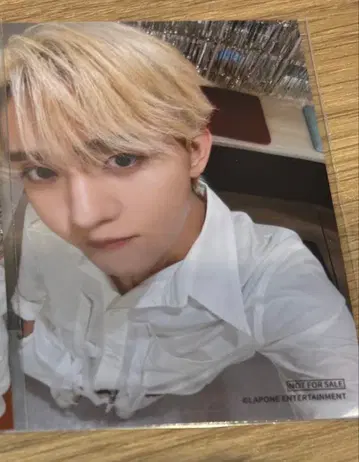 타지마 쇼고 레미노 페스티벌 INI Lemino 혜택