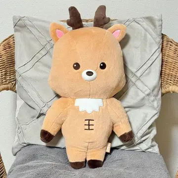 RIIZE 봉제 인형 성찬