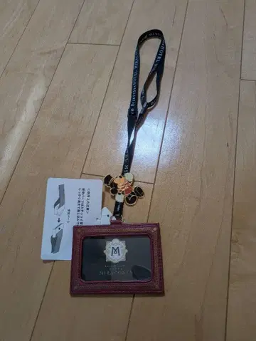 도쿄 디즈니 씨 미라코스타 패스 케이스